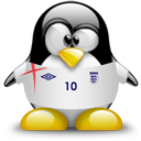 Penguin pingouin pinguino 151